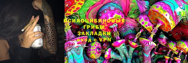 гидра Алексин