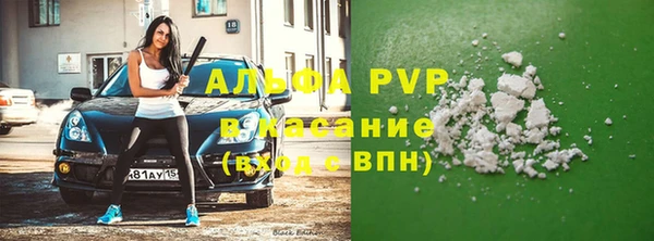 гидра Алексин