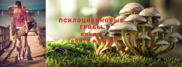 первитин Алексеевка