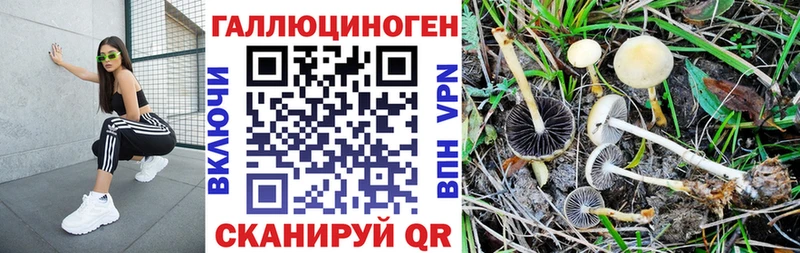 Галлюциногенные грибы мухоморы  наркотики  Осинники 